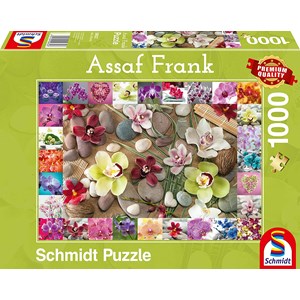 Schmidt Spiele (59632) - Assaf Frank: "Orchids" - 1000 pieces puzzle