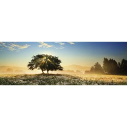 Heye (29901) - "Play of Light" - 1000 pieces puzzle