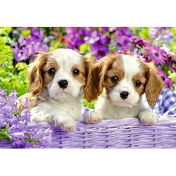 Ravensburger (05029) - "Me and My Pal" - 24 pieces puzzle