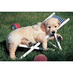 Ravensburger (14956) - "Easy Cuddly" - 204 pieces puzzle