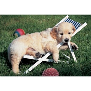 Ravensburger (14956) - "Easy Cuddly" - 204 pieces puzzle