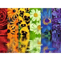 Ravensburger (16446) - "Floral Reflections" - 500 pieces puzzle