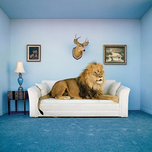 Clementoni (38500) - "The Master of the house" - 250 pieces puzzle