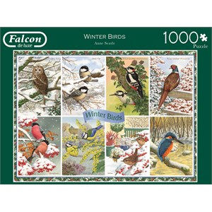 Falcon (11234) - Anne Searle: "Winter Birds" - 1000 pieces puzzle