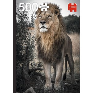 Jumbo (18523) - "Proud Lion" - 500 pieces puzzle