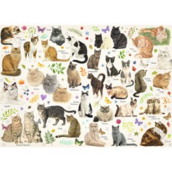 Jumbo (18595) - Francien van Westering: "Cats Poster" - 1000 pieces puzzle