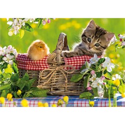 Jumbo (18801) - "Ready for a Picnic" - 500 pieces puzzle