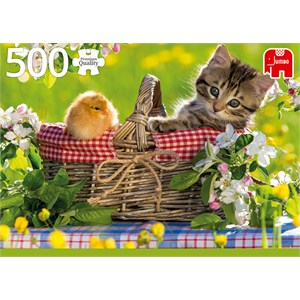 Jumbo (18801) - "Ready for a Picnic" - 500 pieces puzzle