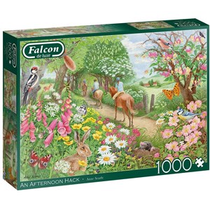 Falcon (11288) - Anne Searle: "An Afternoon Hack" - 1000 pieces puzzle
