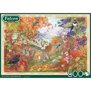 Falcon (11270) - Anne Searle: "Autumn Hedgerow" - 500 pieces puzzle