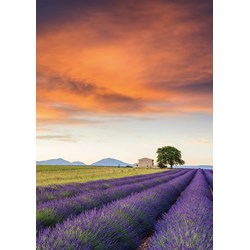 Schmidt Spiele (58364) - "Field of Lavender, Provence" - 500 pieces puzzle