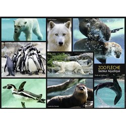 Nathan (86870) - "Animals of the Zoo" - 250 pieces puzzle