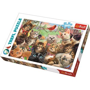 Trefl (260) - "Kittens" - 260 pieces puzzle