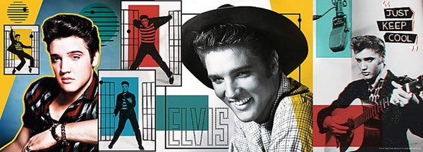 Trefl (29510) - "Elvis Presley" - 500 pieces puzzle
