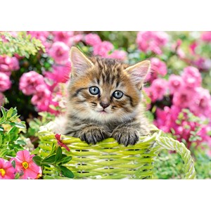 Castorland (B-52974) - "Kitten in Flower Garden" - 500 pieces puzzle