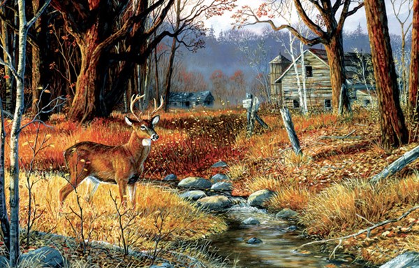 SunsOut (71246) - Terry Doughty: "Forgotten Valley" - 1000 pieces puzzle