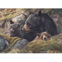 Cobble Hill (80012) - "Twice the Love" - 1000 pieces puzzle