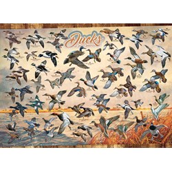 Cobble Hill (80263) - David A. Maass: "Ducks of North America" - 1000 pieces puzzle