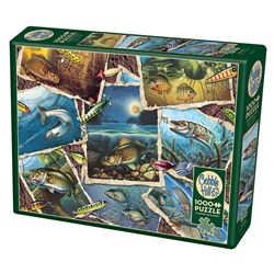 Cobble Hill (80209) - Jon Q. Wright: "Fish Pics" - 1000 pieces puzzle