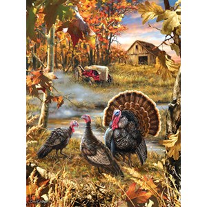 SunsOut (57168) - Dona Gelsinger: "Turkey Ranch" - 1000 pieces puzzle
