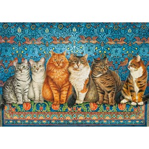 Castorland (B-53469) - "Cat Aristocracy" - 500 pieces puzzle
