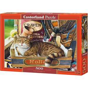 Castorland (B-53476) - "Fothergill" - 500 pieces puzzle