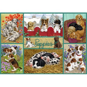 Falcon (11219) - Sarah Adams: "Happy Puppies" - 500 pieces puzzle