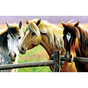 SunsOut (70922) - Cynthie Fisher: "Horse Fence" - 1000 pieces puzzle