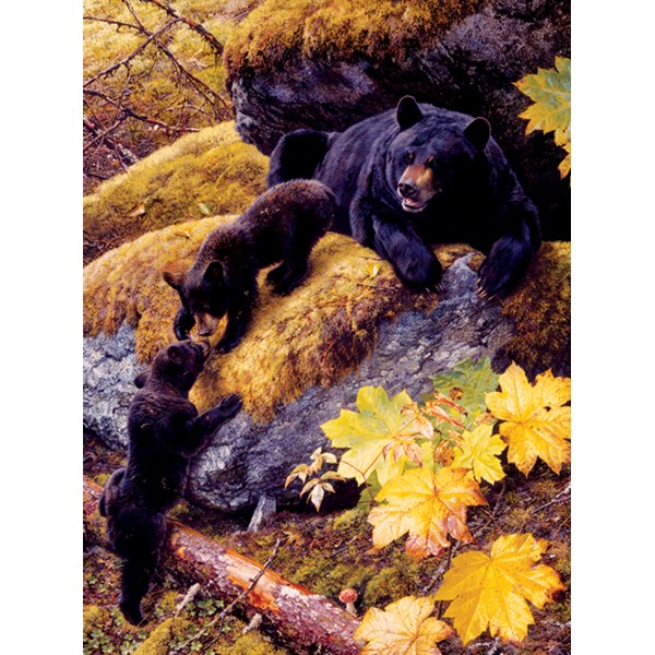 SunsOut (59018) - Carl Brenders: "Nosing Around" - 1000 pieces puzzle