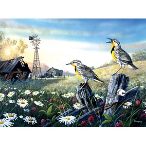 SunsOut (71131) - Terry Doughty: "Meadow Outpost" - 1000 pieces puzzle