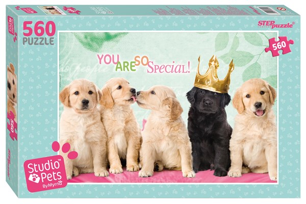 Step Puzzle (97054) - "Studio Pets" - 560 pieces puzzle