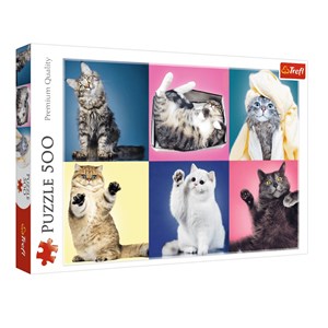 Trefl (37377) - "Kittens" - 500 pieces puzzle
