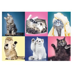 Trefl (37377) - "Kittens" - 500 pieces puzzle