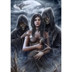 Grafika (01085) - Cris Ortega: "Spirit of the Night" - 1000 pieces puzzle