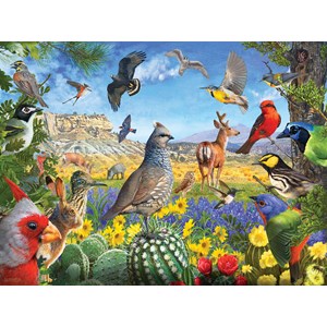 SunsOut (70939) - R. Christopher Vest: "Texas Birds" - 1000 pieces puzzle