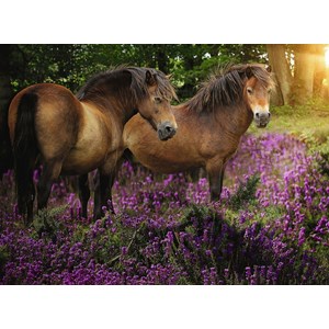 Ravensburger (14813) - "Ponies In The Heath" - 500 pieces puzzle