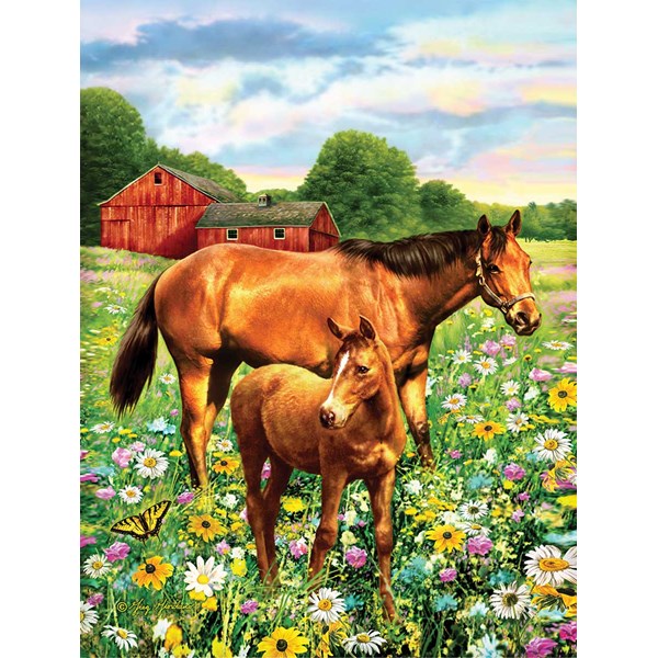 SunsOut (37174) - Greg Giordano: "Mare and Foal" - 500 pieces puzzle