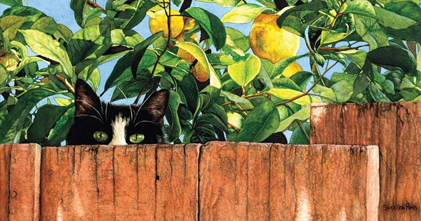 SunsOut (50968) - "Sylvester" - 500 pieces puzzle