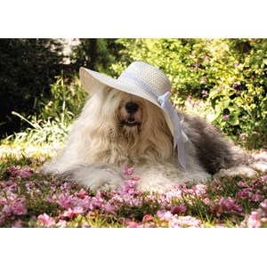 Jumbo (18515) - "Sophie the Dog" - 200 pieces puzzle