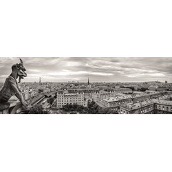 Dino (54541) - "Paris, France" - 1000 pieces puzzle