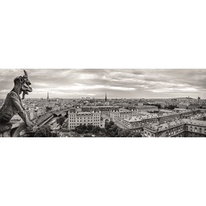 Dino (54541) - "Paris, France" - 1000 pieces puzzle