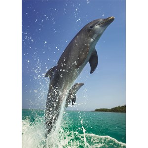 Dino (50225) - "Dolphins" - 500 pieces puzzle