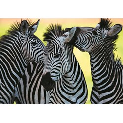 Dino (50226) - "3 Zebras" - 500 pieces puzzle