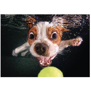 Dino (50245) - "Puppy underwater" - 500 pieces puzzle