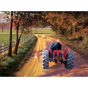 SunsOut (50161) - "A Ride Down Memory Lane" - 1000 pieces puzzle