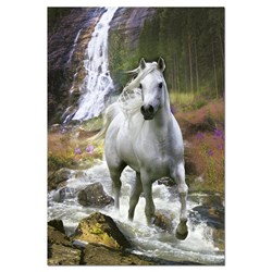 Educa (15509) - "Freedom" - 500 pieces puzzle