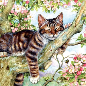 SunsOut (50423) - Debbie Cook: "Sleepy Cat" - 500 pieces puzzle