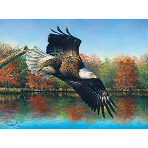 SunsOut (69607) - Abraham Hunter: "Wetlands Eagle" - 1000 pieces puzzle