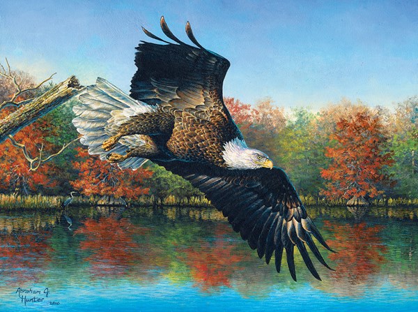 SunsOut (69607) - Abraham Hunter: "Wetlands Eagle" - 1000 pieces puzzle