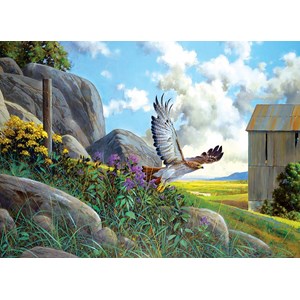 Cobble Hill (85064) - Douglas Laird: "Take Off" - 500 pieces puzzle